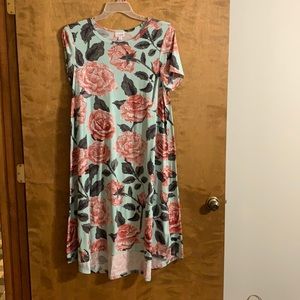 LuLaRoe Carly Dress